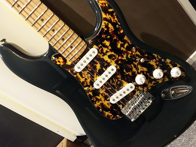 手軽に改造が楽しめる王道のエレキギターといえば？ | 防音室 ディオラボ